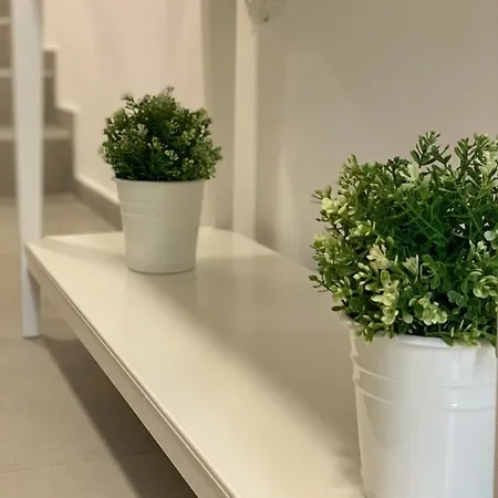 Dream In Arena 2 Center Free Parking Apartmán Pula