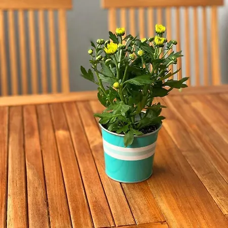 Dream In Arena 2 Center Free Parking Apartmán